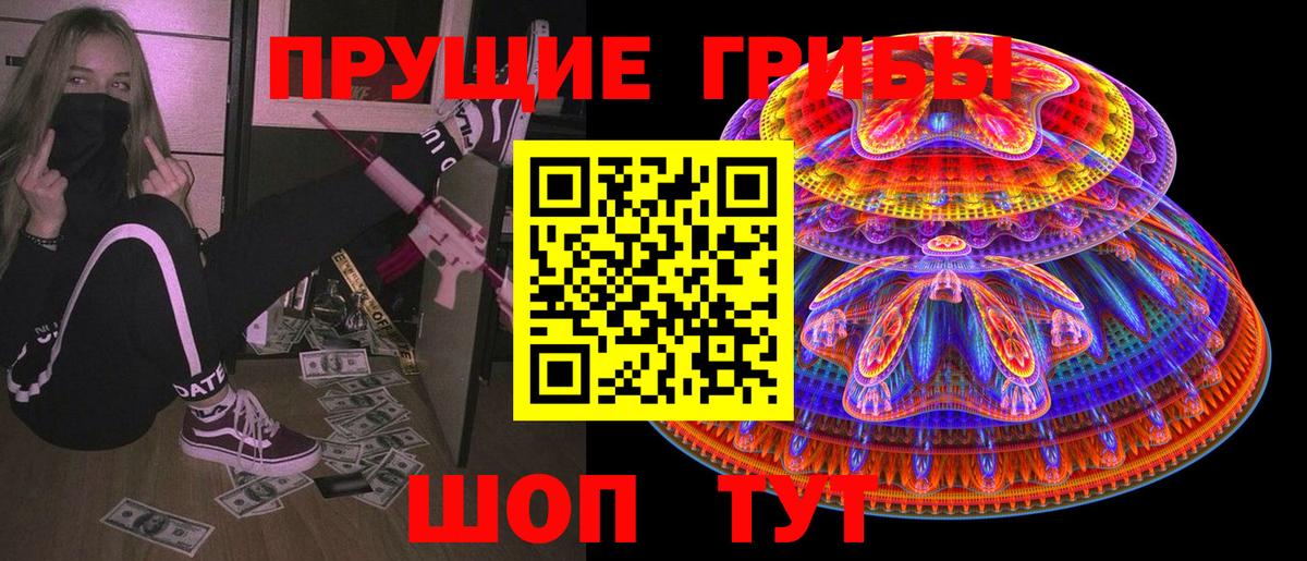 Галлюциногенные грибы Cubensis Владимир