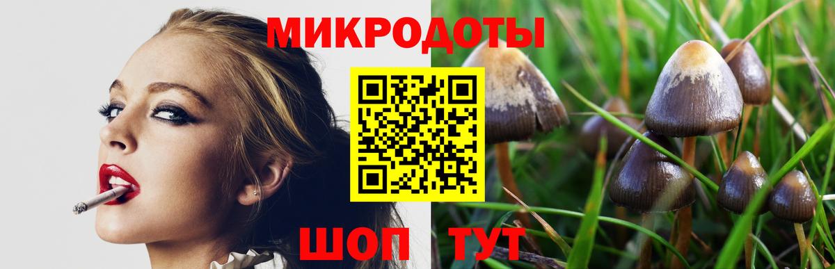 Галлюциногенные грибы мухоморы  Вход с VPN  Псилоцибиновые грибы ЛСД  Владимир 